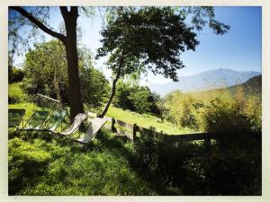 a playground in a field with a tree and a fence at Mas Lluganas in Mosset