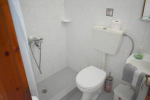 a small bathroom with a toilet and a shower at Elegant Maisonettes Elena in Nea Potidaea