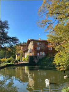 a swan in the water in front of a building at Manoir de Tourville in Les Halles