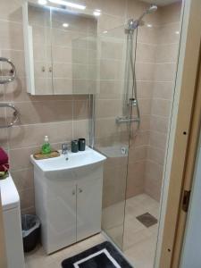 a bathroom with a shower and a sink and a shower at Rannarajooni holiday apartment in Pärnu