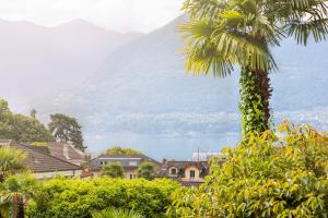 a palm tree with a mountain in the background at Villa Magnolia - Boutique Superior Rooms in Locarno
