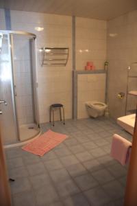 a bathroom with a shower and a toilet at Haus Lutea in Gaschurn