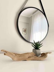 a mirror on a shelf with a potted plant at Luxury cozy appartment in the city center in Rhodes Town
