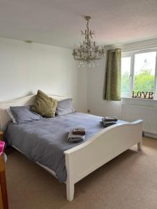 1 dormitorio con 1 cama grande y lámpara de araña en Home in Buckland Brewer near Bideford, en Bideford