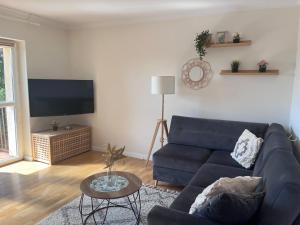 Apartament w Zdroju في بوسكو ازدروي: غرفة معيشة مع أريكة زرقاء وتلفزيون