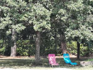 two chairs sitting in the grass under trees at Appartement Cosy chez Nicolas et Aline in Pompiey