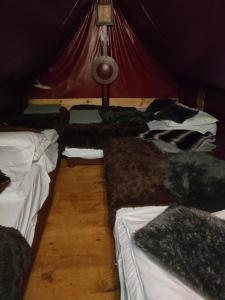 a room with a bunch of beds in a tent at Le Camp du Chevalier in Valençay