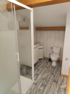 ein Badezimmer mit einem WC und einer Glasduschkabine in der Unterkunft Chez Serge et Annie in Polignac