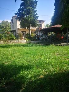 a yard with green grass and a house at Casa Raffaello in Castiglione dʼOrcia