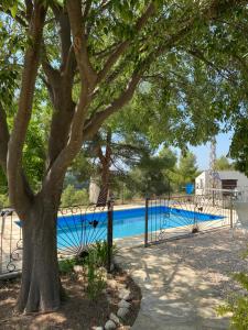 una valla alrededor de una piscina con un árbol en B&B Mas del Pi, en Valderrobres