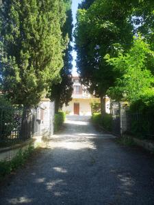 a driveway leading to a house with a gate and trees at Casa Raffaello in Castiglione dʼOrcia