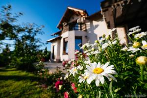 a flower garden in front of a house at Casa Dora in Suceava