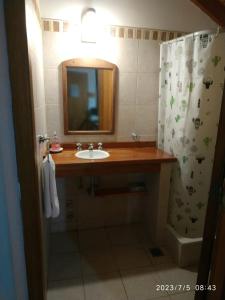 ein Bad mit einem Waschbecken, einem Spiegel und einer Dusche in der Unterkunft ABROJITOS in Villa La Angostura