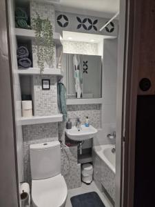 Baño pequeño con aseo y lavamanos en Apartament Zielony, en Gdansk