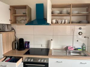 cocina con fregadero y encimera en Schönes 3 Zimmer Apartment "Cocco", en Ludwigsburg