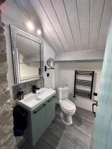 ein Badezimmer mit einem WC, einem Waschbecken und einem Spiegel in der Unterkunft Les Couroux in Saint-Julien-dʼEymet