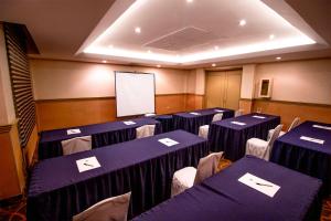 Бизнес-центр и/или конференц-зал в Araiza Palmira Hotel y Centro de Convenciones