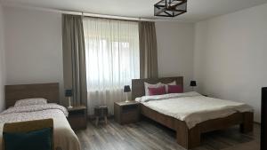 a bedroom with two beds and a window at Casa de Vacanta Potoc - poarta ta spre Cheile Nerei in Potoc