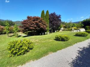 een tuin met groen gras en struiken en bomen bij Gîte de grettery in Saulxures-sur-Moselotte
