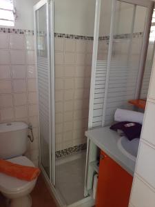 a bathroom with a shower and a toilet and a sink at RESIDENCE DE VACANCES MON REFUGE - BUNGALOW DE TYPE T3 in Grande Anse