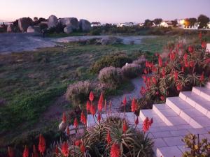 a pathway with red flowers in a field at The Boulders Langebaan in Langebaan