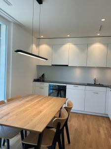 Kuchyň nebo kuchyňský kout v ubytování The R Apartment Passwang, KLIMA, NEU, Balkon, Parking + 9 fotografií