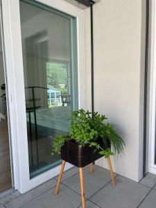 uma planta num suporte ao lado de uma janela em The R Apartment Passwang, KLIMA, NEU, Balkon, Parking em Balsthal