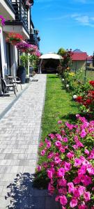 a row of pink flowers on the side of a sidewalk at 4 Foxes in Ustka