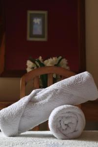 uma toalha sentada em cima de uma cadeira com flores em Hotel Residencial Panamericano em David