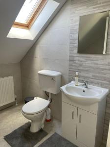 a bathroom with a white toilet and a sink at Grianan view loft apartment in Tieveborne
