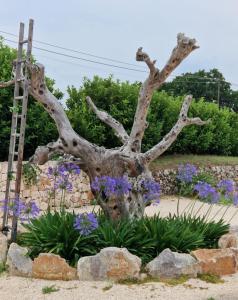 Gallery image of Lamia Nina in Cisternino