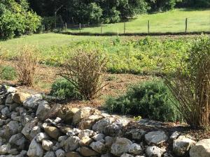 un giardino roccioso con un campo sullo sfondo di Agriturismo Fattoria Antica Forconia a L'Aquila
