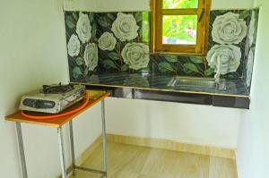 Kuchyň nebo kuchyňský kout v ubytování Vindiw Holiday Resort