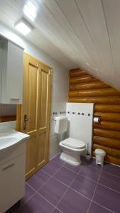 a bathroom with a toilet and a sink at Ruralna kuća za odmor Marta in Otočac