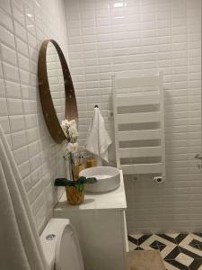 a bathroom with a sink and a mirror and a toilet at Porto Apartamento relaxante na cidade in Porto