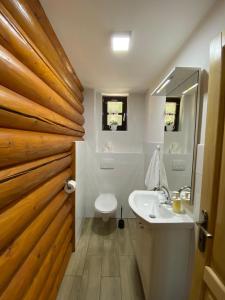 a bathroom with a sink and a toilet and a mirror at Ruralna kuća za odmor Marta in Otočac