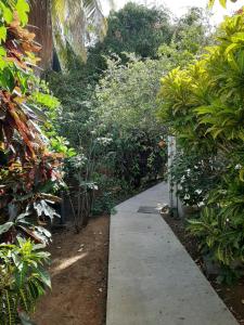 a walkway in a garden with plants and trees at RESIDENCE MON REFUGE in Grande Anse