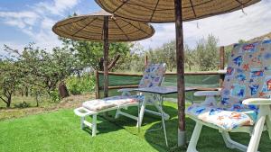 A garden outside Cortijo AguaChá
