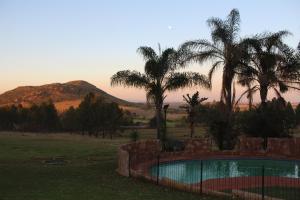 a swimming pool in a field with palm trees at The Cradle Berry Farm in Muldersdrift