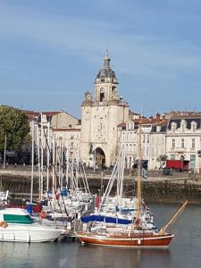 a group of boats docked in the water in front of a building at Maison sur le quai in La Rochelle