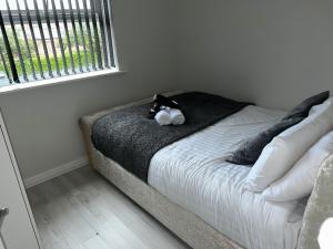 uma cama com um gato preto sentado em cima dela em Sunderland City Centre Modern 2 Bed Apartment em Sunderland