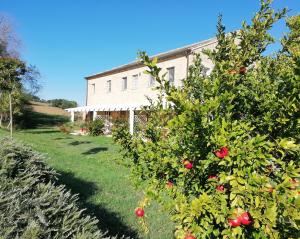 una casa con un manzano en el patio en Il Giardino nella Valle, en Belvedere Ostrense