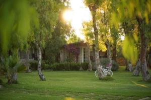 Fotografie z fotogalerie ubytování Datça Dirik Surf Beach Hotel v destinaci Datça