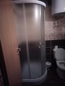 a shower stall in a bathroom with a toilet at Studio apartman MIR in Kanjiža