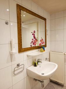 ein Bad mit einem Waschbecken und einem Spiegel in der Unterkunft Cityhotel Junger Fuchs in Salzburg