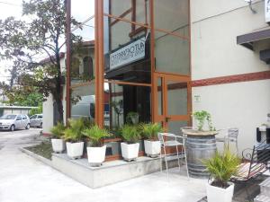 a group of potted plants sitting outside of a building at Hotel Autoespresso Venice - Atika & Atif in Marghera