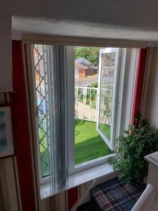 Um jardim em Sea Air B&B