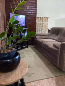a living room with a couch and a potted plant at Casa Estação da Paz in Miguel Pereira