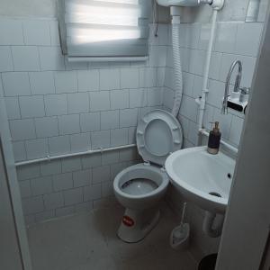a bathroom with a toilet and a sink at Rudnička Kapija in Gornji Milanovac
