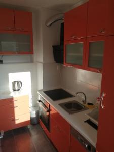 Kuchyň nebo kuchyňský kout v ubytování Apartman studio Oranž